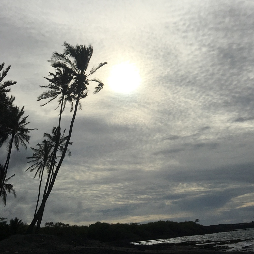 Meet your Posher, T Kailimai